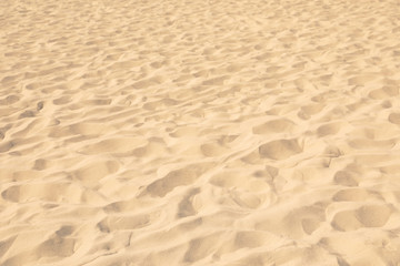 Fototapeta na wymiar Golden beach sand on sunny day as background