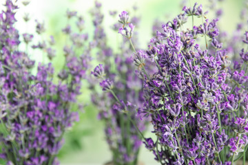 Naklejka premium Beautiful tender lavender flowers on blurred background, closeup. Space for text