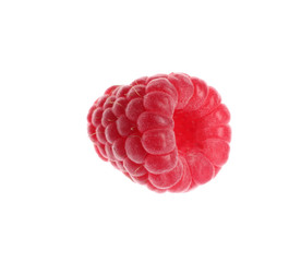 Delicious ripe sweet raspberry isolated on white