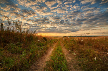 Fototapeta na wymiar Beautiul summer sunset over fields