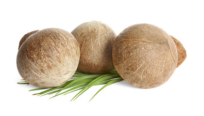 Ripe whole brown coconuts with leaves on white background