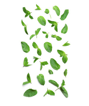 Fresh mint leaves on white background, flat lay
