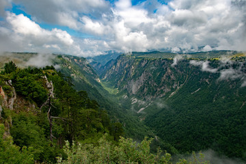 Fototapeta na wymiar Durmitor National Park, Montenegro