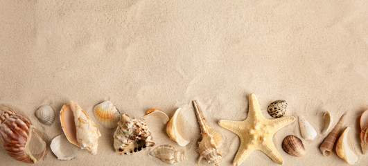 Fototapeta na wymiar Flat lay composition with beautiful starfish and sea shells on sand, space for text