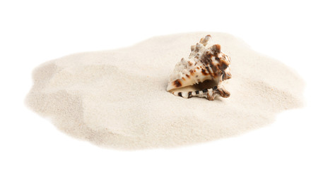 Obraz na płótnie Canvas Pile of beach sand with sea shell on white background