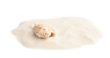 Pile of beach sand with sea shell on white background