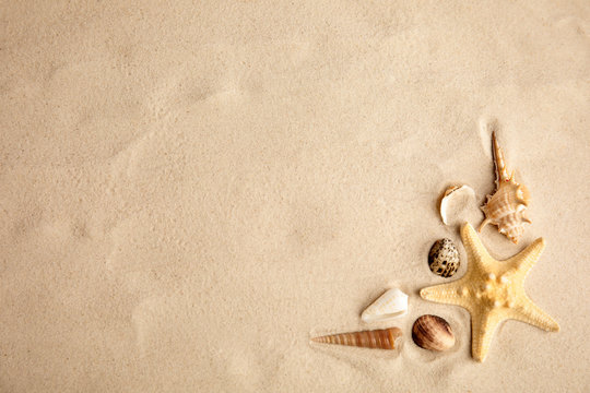 Flat lay composition with beautiful starfish and sea shells on sand, space for text