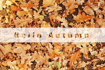 the inscription Hello autumn on the background of yellow leaves. Autumn concept