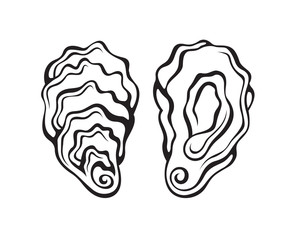 collection of oyster shell isolated on white background