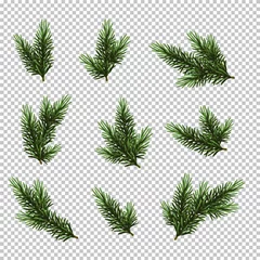 Fototapete Rund Bäume Set Christmas tree isolated on white background, pine fir branches.  © Nataliya