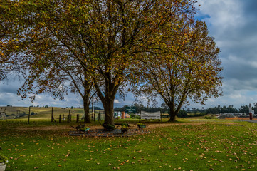 Autumn and winter landscape in Midlands meander South Africa