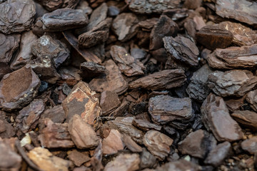 close-up of broken tree bark