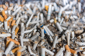 tobacco wastes that people have smoked and dumped