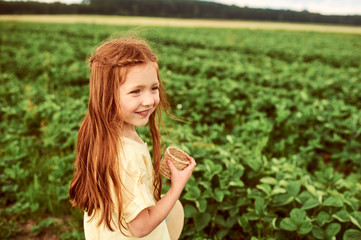 A little beautiful caucasian girl in the green field harvests and eating strawberries having fun