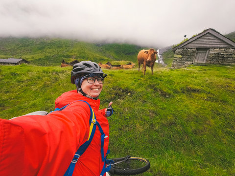 Caucasian woman tourist cyclist in helmet and raincoat takes selfie photo herself against Norwegian mountains and a funny brown cow in rainy cloudy weather. Theme to love animals and veggie