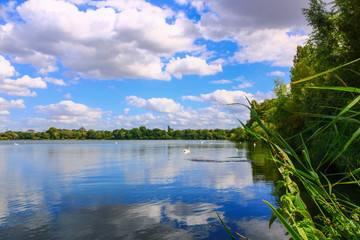 Beautiful blue sky with cumulonimbus clouds reflected in a lake. Soft countryside landscape with a forest on the horizon. Beautiful expanse of day water with reeds and vegetation on the edge. 