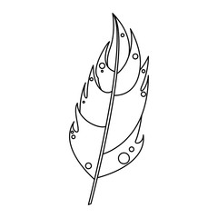 feather plume decoration art cartoon in black and white