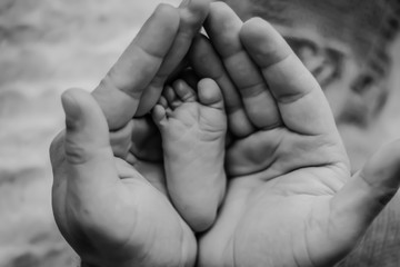 hands of mother and baby