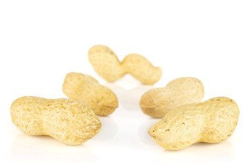 Group of five whole natural yellow peanut arranged symmetrically isolated on white background
