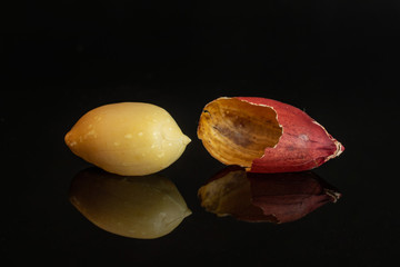 Obraz na płótnie Canvas Group of one whole one piece of natural yellow peanut skin is aside in closeup isolated on black glass