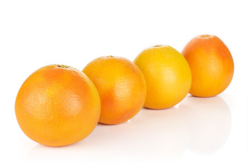 Group of four whole fresh pink grapefruit placed diagonally in line isolated on white background