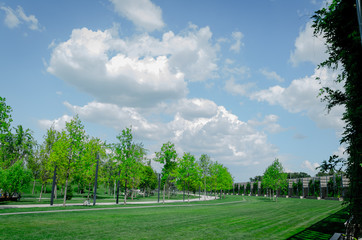 park with blue sky and clouds