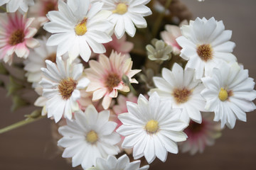 Group white and pink flowers on the wooden table