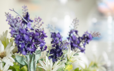 Obraz premium blurred purple lavender and white flowers