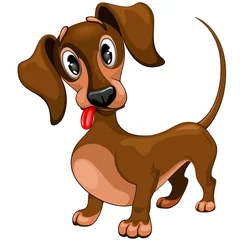 Wall murals Draw Dachshund Cute Confused Puppy Dog Cartoon Character Vector Illustration