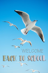 Seagulls are  flying in a sky