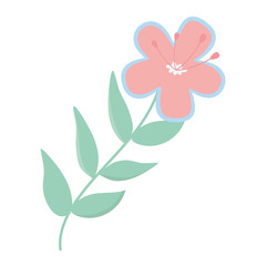 Isolated flower ornament design vector illustration