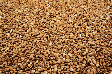 Whole grains of buckwheat