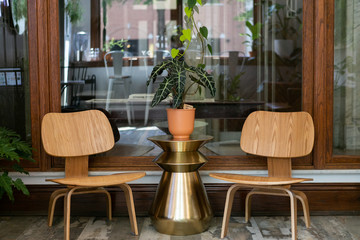 house plant in terra cotta vase on gold side table between two wooden chairs, mid century modern home decor