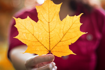 Woman in a red shirt holding an autumn maple leaf in hand