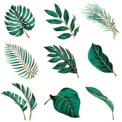 Set of tropical plants. Botanical watercolor green exotic leaves with gold outline. Coconut palm, monstera, banana tree.