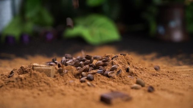 Coffee beans falling in a cacao powdre of coffee powder on a blck table.
