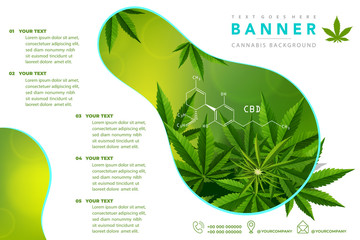 Cannabis or marijauna medical Brochure design.
