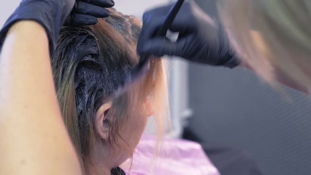 close-up. hair dyeing concept. hairdresser colorist dye the hair of a woman with a brush