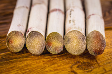 Sugar cane is a group of tall perennial grass species of the genus Saccharum, tribe Andropogoneae, native to the tropical regions and used mainly for sugar and ethanol production.