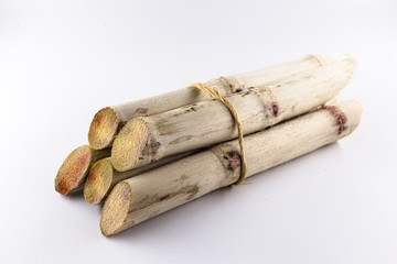 Sugar cane, brazilian, cane, piece of cane, fresh, sugar cane, white, background, cane, fresh