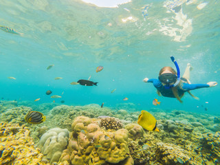 Naklejka na ściany i meble Happy woman in snorkeling mask dive underwater with tropical fishes in coral reef sea pool. Travel lifestyle, water sport outdoor adventure, swimming lessons on summer beach holiday