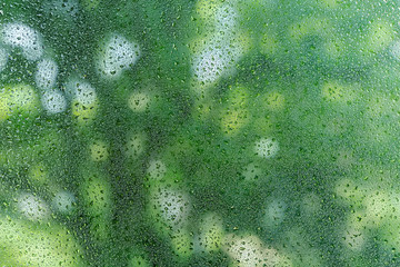 Raindrop on glasses window with blurred green trees background. Abstract background.