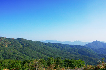 9 Feb 2009 Tai Mo Shan hk