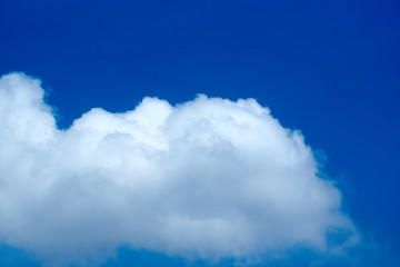 夏の空・育つ雲