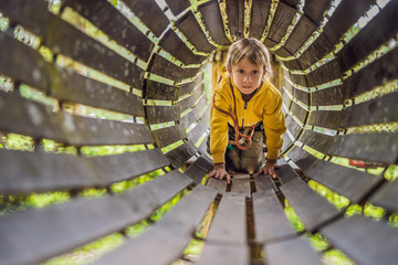 Little boy in a rope park. Active physical recreation of the child in the fresh air in the park. Training for children