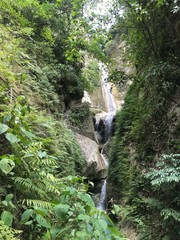 waterfall in forest