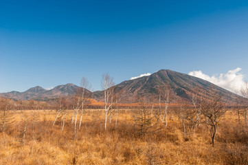 Obraz premium Autumn at Senjogahara plateau in Nikko national park, Nikko Tochigi, Japan