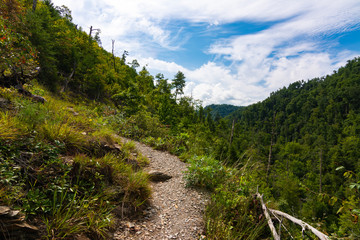 Hatcher Mountain Trail