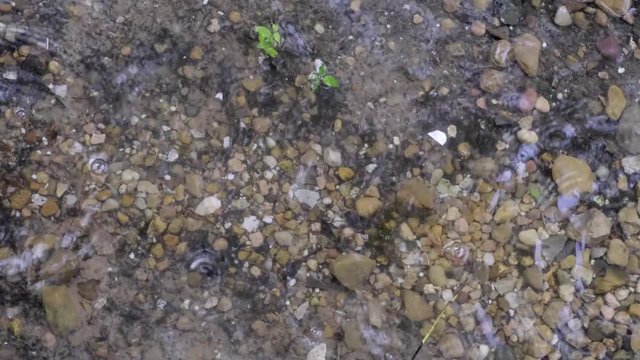 rain drops falling on puddle
