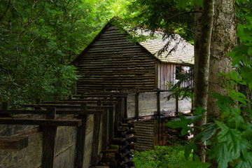 Fototapeta na wymiar Old mill in the woods